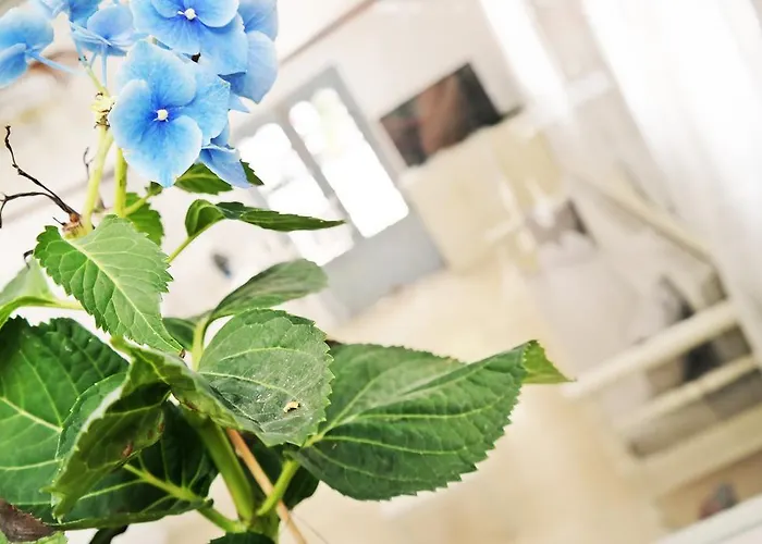 Golden Down Town Apartmanhotel