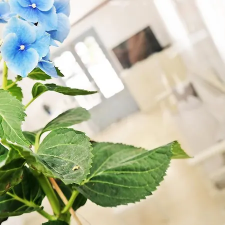 Golden Down Town מלון דירות